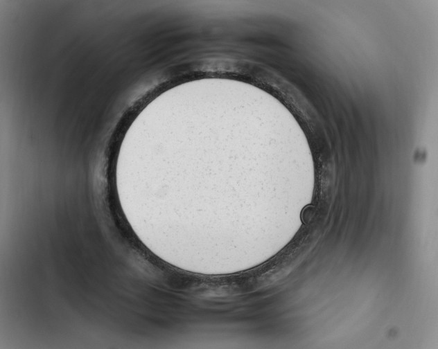 X0000102860727200809151210