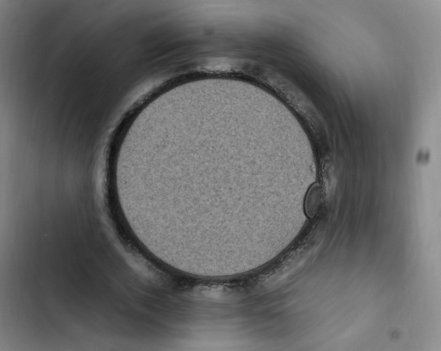 X0000102860728200809151210