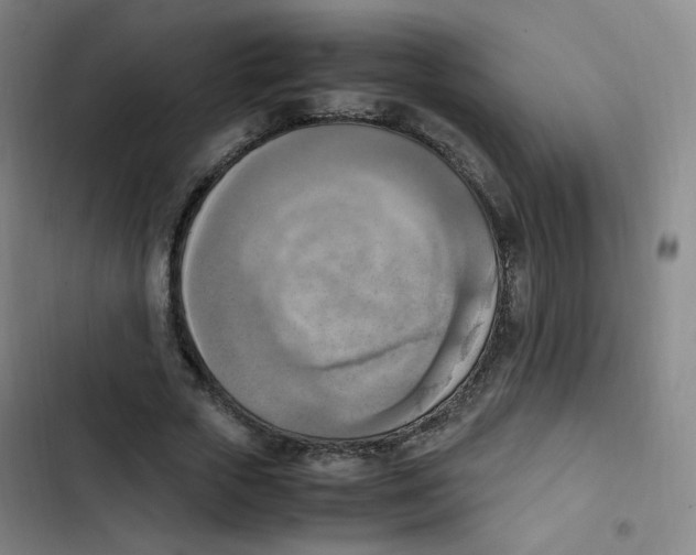 X0000102860729200809151210