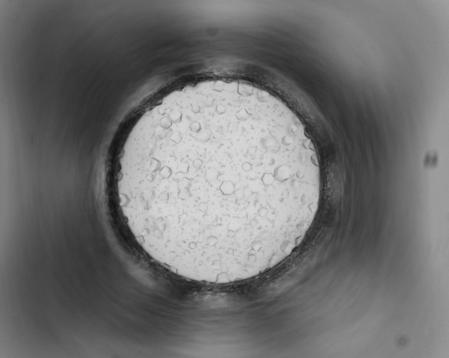 X0000102860730200809151210