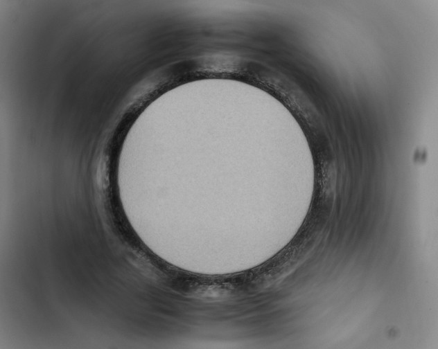 X0000102860731200809151210