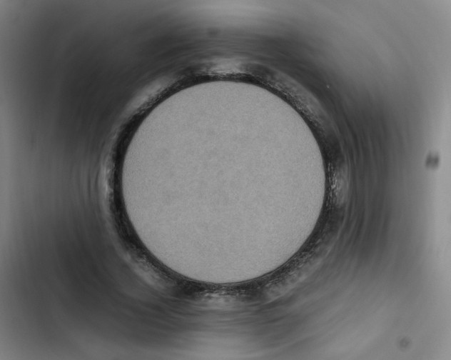 X0000102860732200809151210
