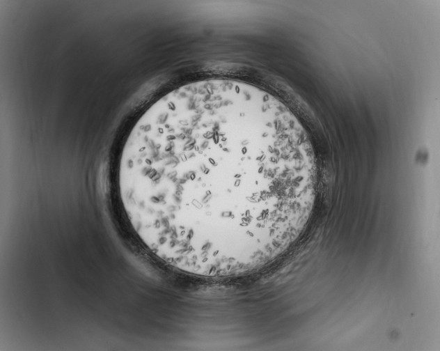 X0000102860734200809151210