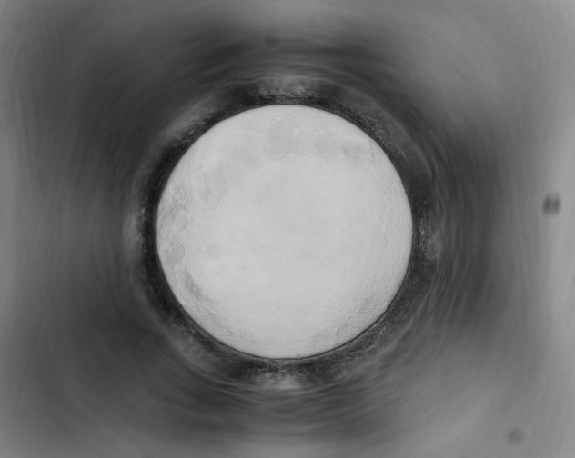X0000102860735200809151210