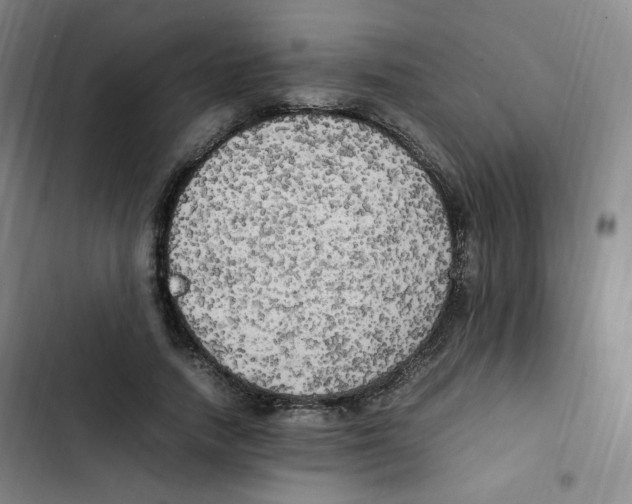 X0000102860738200809151211