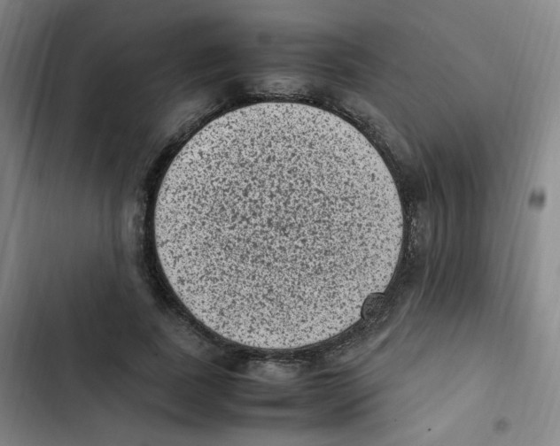 X0000102860739200809151211