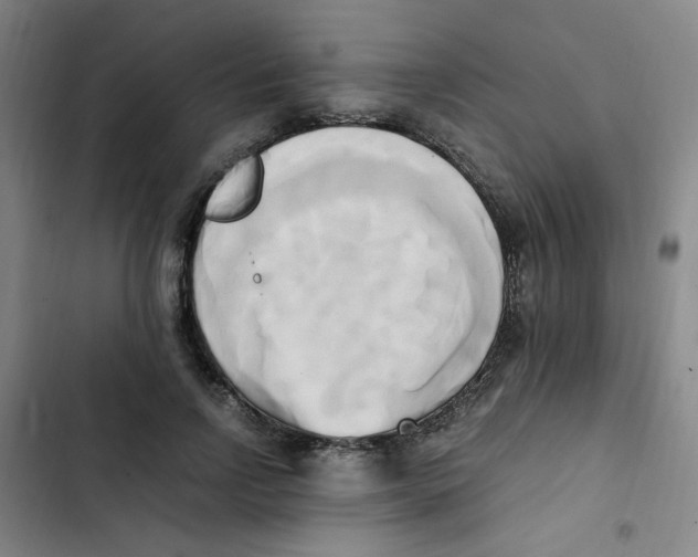 X0000102860742200809151211