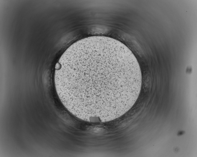X0000102860743200809151211
