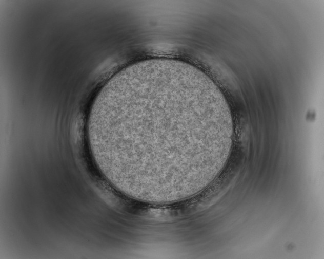 X0000102860744200809151211