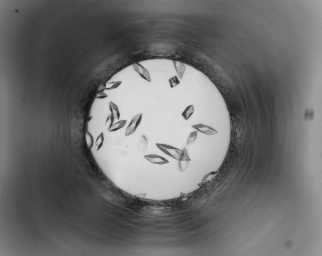 X0000102860745200809151211