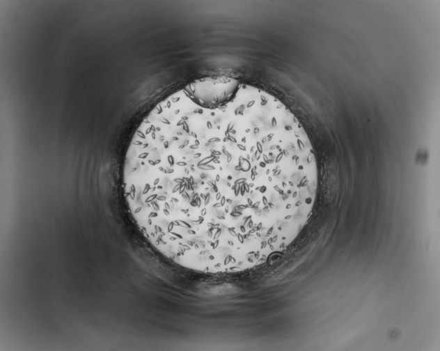 X0000102860747200809151211