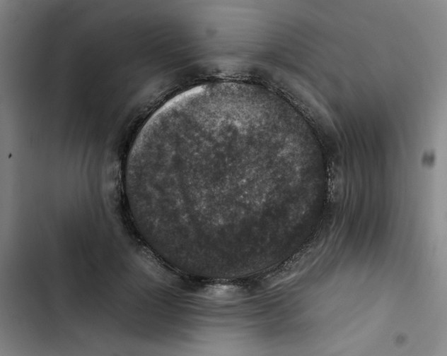 X0000102860748200809151211