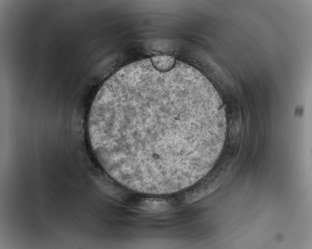 X0000102860749200809151211