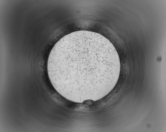 X0000102860750200809151211