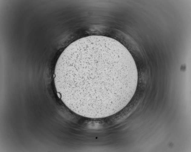 X0000102860751200809151211