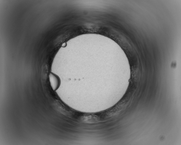 X0000102860752200809151211