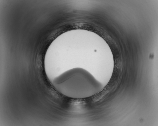 X0000102860754200809151211