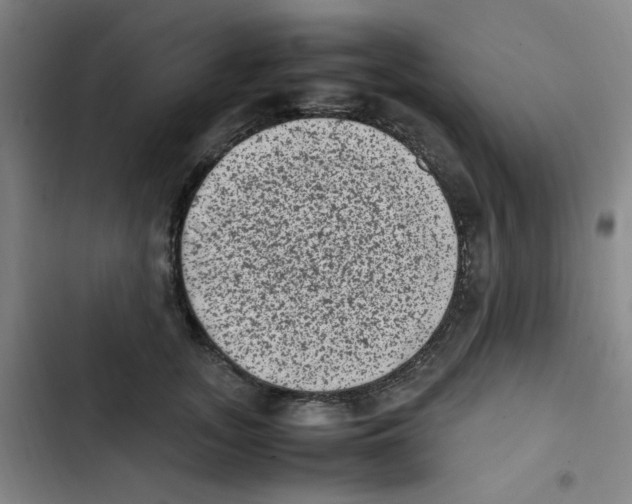 X0000102860755200809151211