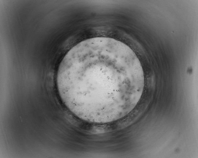 X0000102860757200809151211