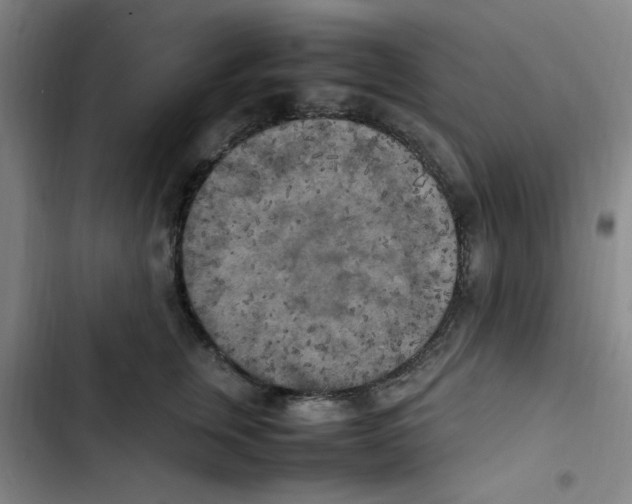 X0000102860759200809151211