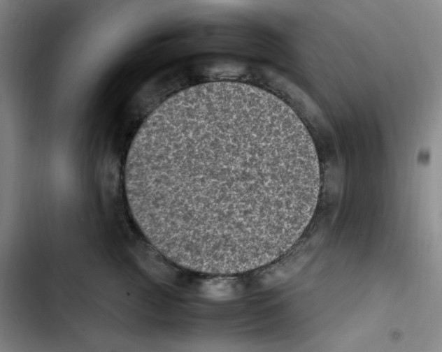 X0000102860761200809151211