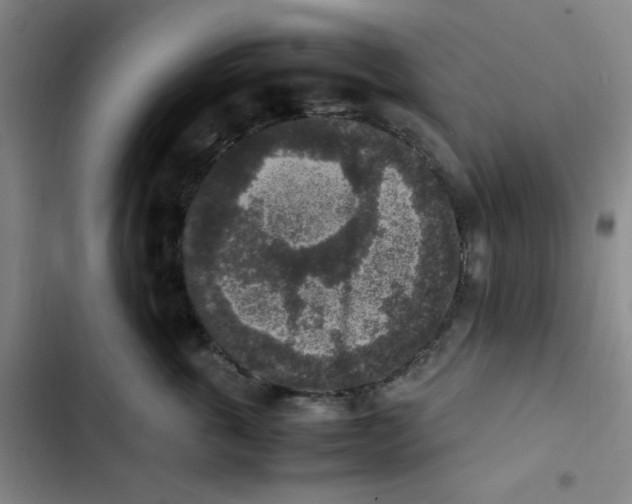 X0000102860763200809151211