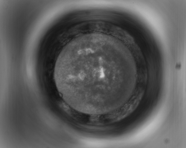 X0000102860766200809151211