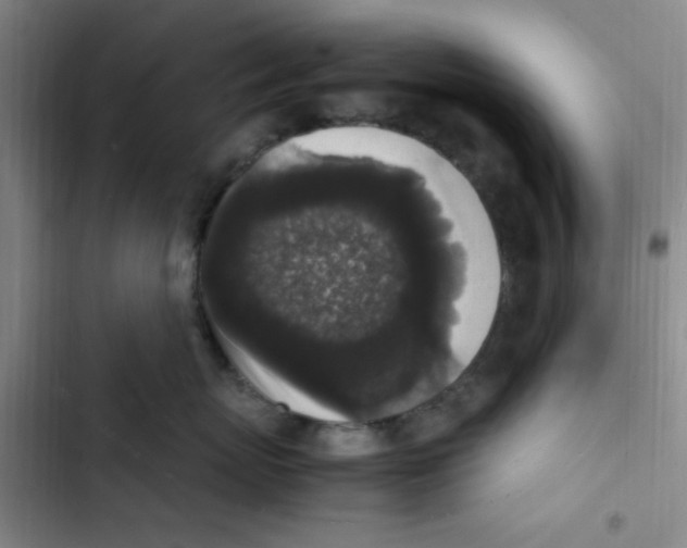 X0000102860767200809151211