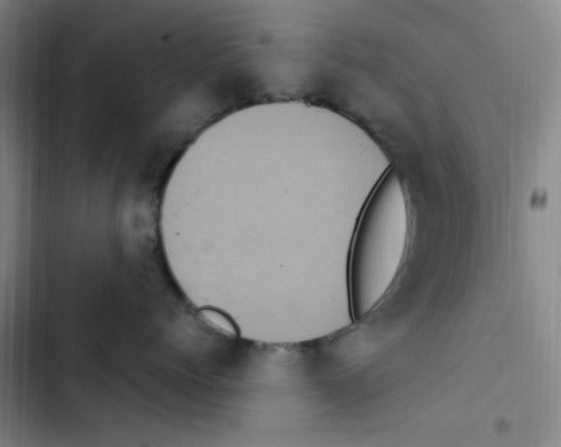 X0000102860768200809151211