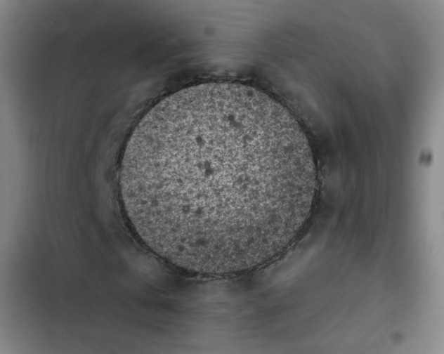 X0000102860769200809151210