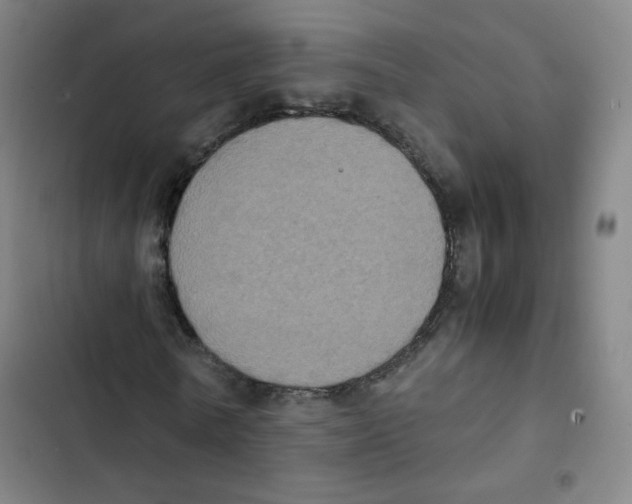 X0000102860770200809151210