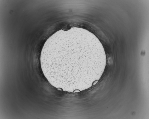 X0000102860771200809151210