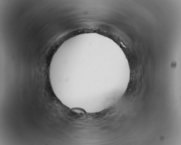 X0000102860773200809151210