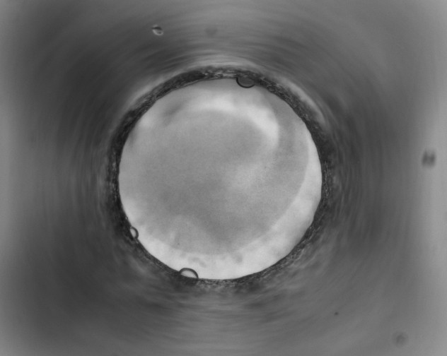 X0000102860775200809151210