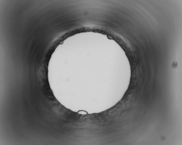 X0000102860776200809151210