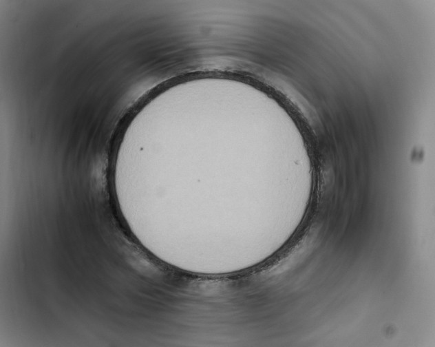 X0000102860778200809151210