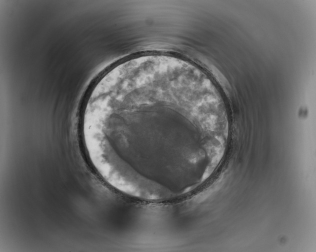 X0000102860779200809151210