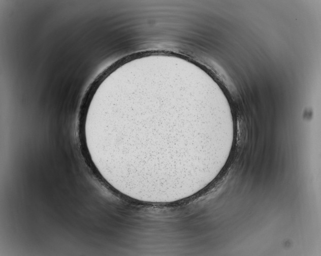 X0000102860780200809151210