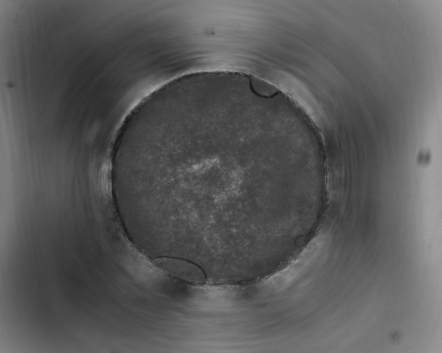 X0000102860781200809151210