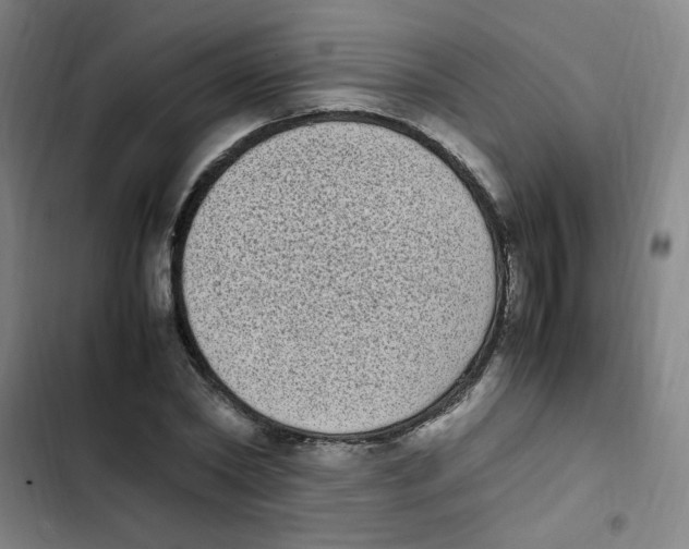 X0000102860782200809151210