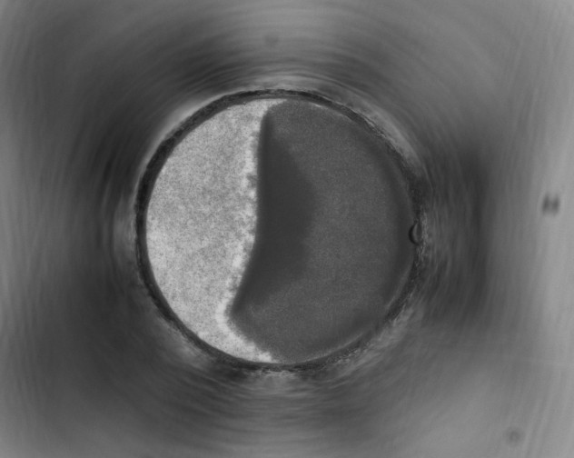 X0000102860784200809151210