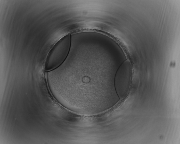 X0000102860785200809151210