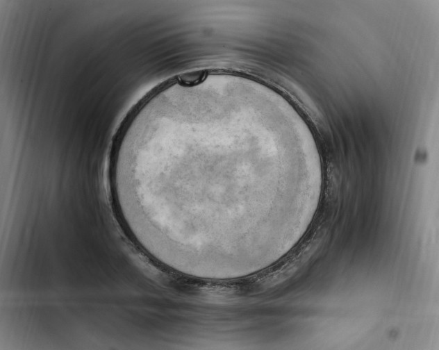X0000102860788200809151210