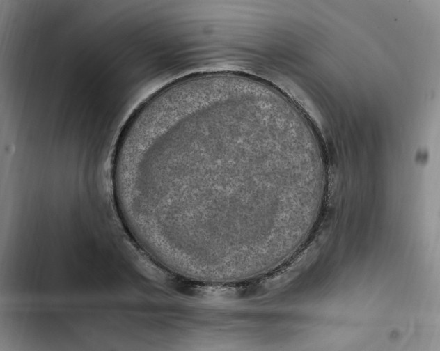 X0000102860789200809151210