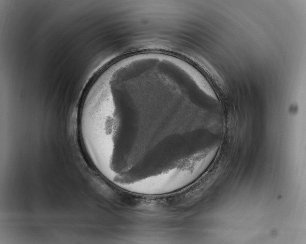 X0000102860790200809151210