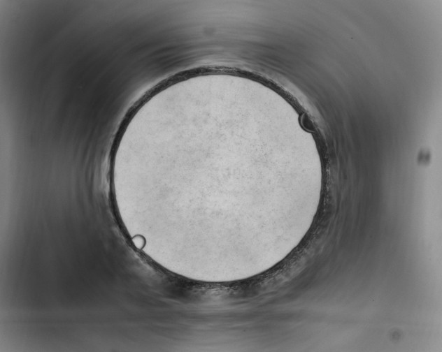 X0000102860791200809151210