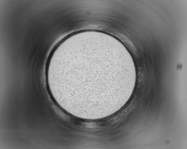 X0000102860792200809151210