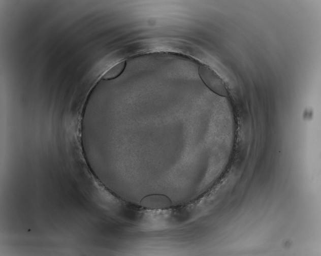 X0000102860793200809151210