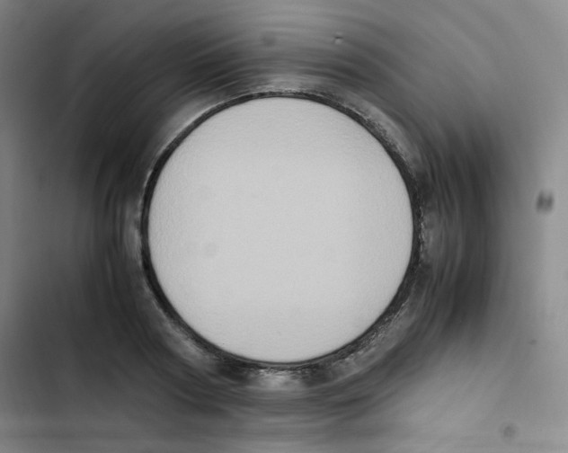 X0000102860794200809151210