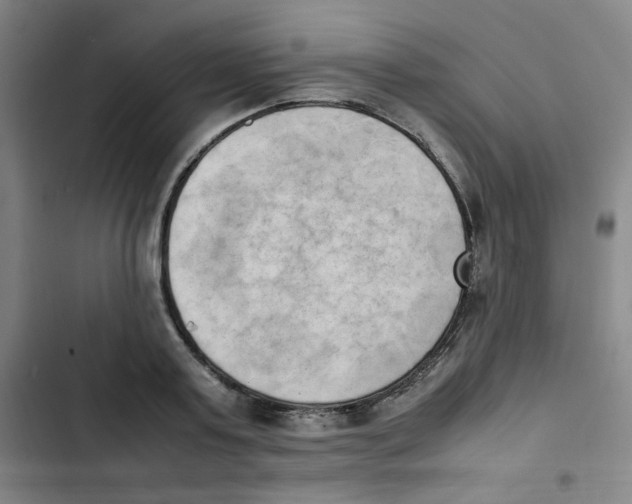 X0000102860795200809151210